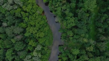 Güzel manzara havadan görünümü - nehir yeşil yaprak döken orman arasında akar