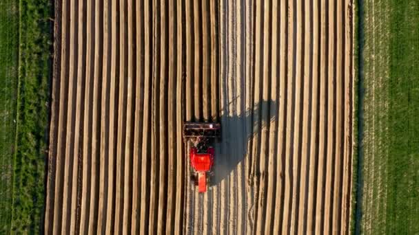 Vista aérea del tractor realiza siembra en el campo — Vídeo de stock