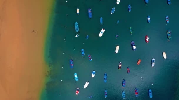 Вид с воздуха на золотой песок пляжа Лас Тереситас и красочные лодки, пришвартованные вдоль берега, Тенерифе, Канары, Испания — стоковое видео