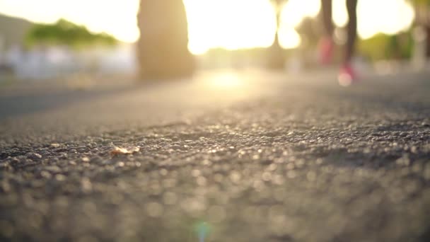 Close-up van vrouw binden schoenveters en loopt langs de Palm Avenue bij zonsondergang — Stockvideo
