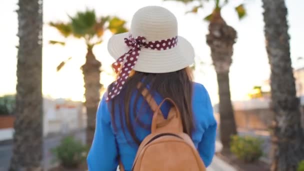 Fotógrafa turista tomando fotos con cámara en un hermoso paisaje tropical al atardecer — Vídeos de Stock