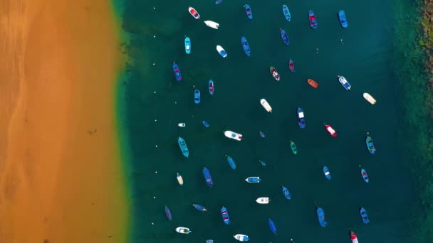 Vista aérea de la arena dorada de la playa Las Teresitas y coloridos barcos amarrados junto a una orilla, Tenerife, Canarias, España — Vídeo de stock