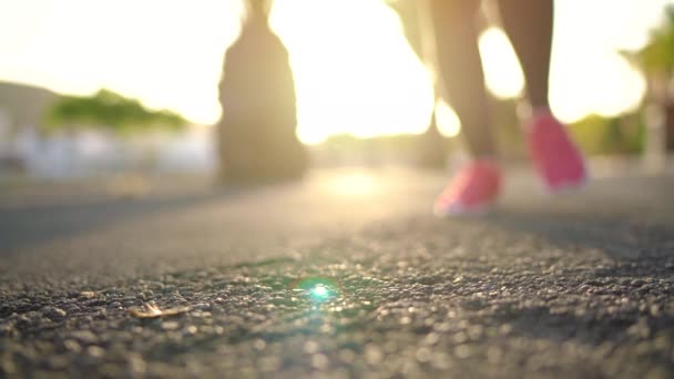 靴ひもを結び、日没時にヤシの大通りに沿って走る女性のクローズアップ。スローモーション — ストック動画
