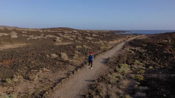 Aerial view of woman runnning along the nature reserve at sunrise. Healthy active lifestyle — Stock Video