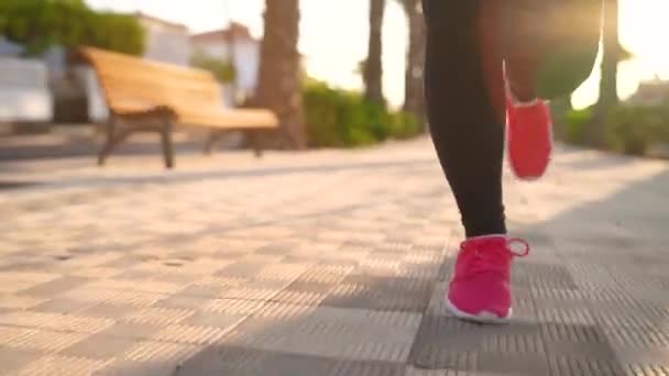 日没時にヤシの大通りを走る女性の足をクローズアップ。スローモーション — ストック動画