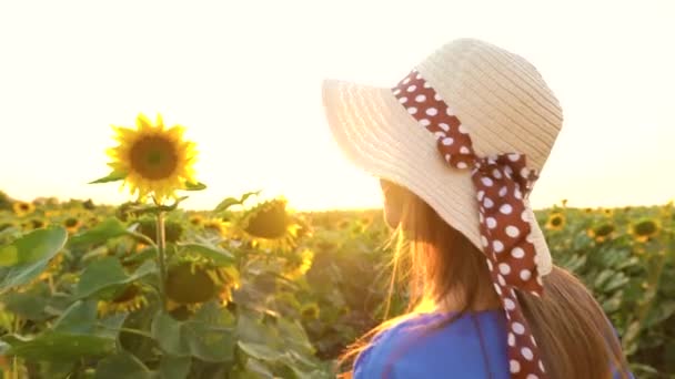 Mavi elbiseli ve şapkalı kadın, tarladaki bir ayçiçeğini koklar ve inceler. Tarım. Hasat — Stok video