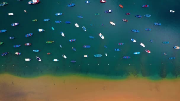 Luftaufnahme des goldenen Sandes des Strandes las Teresitas und bunte Boote entlang einer Küste, Teneriffa, Kanaren, Spanien festgemacht — Stockvideo