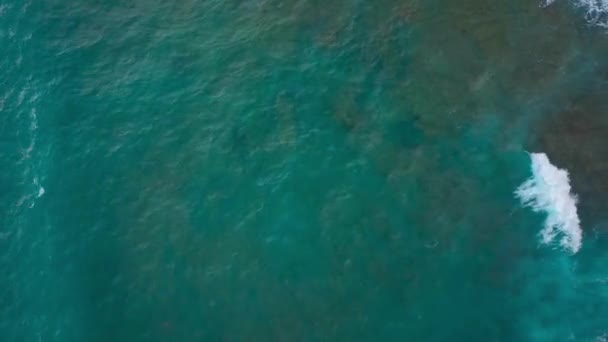 Top uitzicht op de woestijn steenachtige kust aan de Atlantische Oceaan. Kust van het eiland Tenerife. Luchtvaart drone beelden van zee golven bereiken Shore — Stockvideo