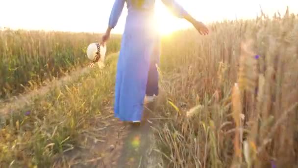 青いドレスを着た女性が野原を歩き、日没の光の中で手で小麦の耳に触れる — ストック動画