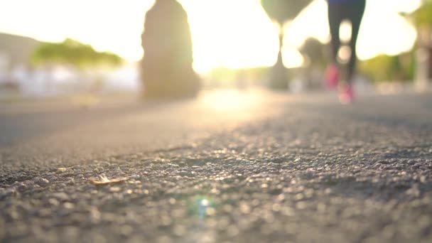 Close-up van vrouw binden schoenveters en loopt langs de Palm Avenue bij zonsondergang — Stockvideo