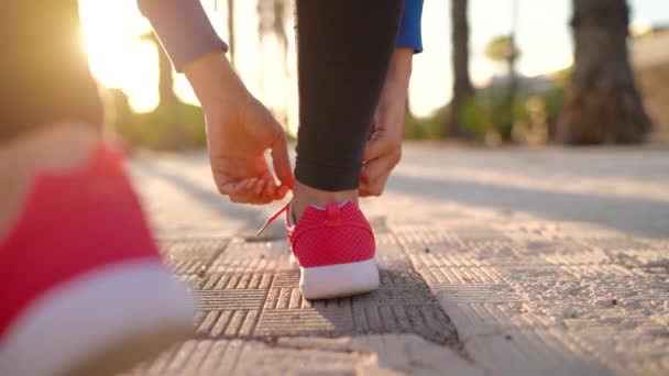 Acercamiento de mujer atando cordones de zapatos y corriendo a lo largo de la avenida de la palma al atardecer. Vista trasera — Vídeos de Stock