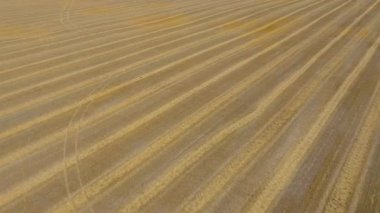 Hasat sonrası alanın havadan görünümü