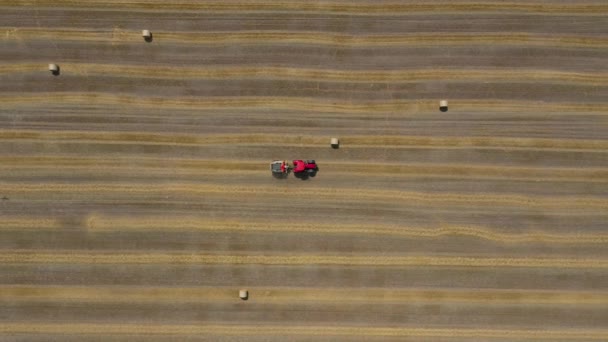 Вид с воздуха на сенокос, обработанный в круглые тюки. Красный трактор работает в поле — стоковое видео