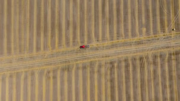 Vista aérea do feno transformado em fardos redondos. O trator vermelho trabalha no terreno. Filmado em diferentes velocidades: normal e rápido — Vídeo de Stock
