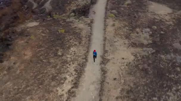 Vista aérea de la mujer corriendo a lo largo de la reserva natural al amanecer. Vida activa saludable . — Vídeos de Stock