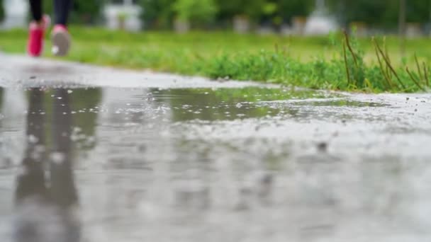 Piernas de un corredor en zapatillas. Mujer deportiva corriendo al aire libre, entrando en charco fangoso. Corredor único corriendo bajo la lluvia, haciendo chapoteo — Vídeo de stock