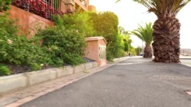 Gün batımında tropikal palmiye geçidinde kamera hareketi. Tenerife, Kanarya Adaları, İspanya