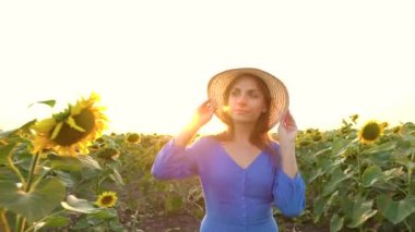 Mavi elbiseli ve şapkalı kadın, tarlanın diğer ucundaki ayçiçeklerinin arasında yürüyor. Tarım