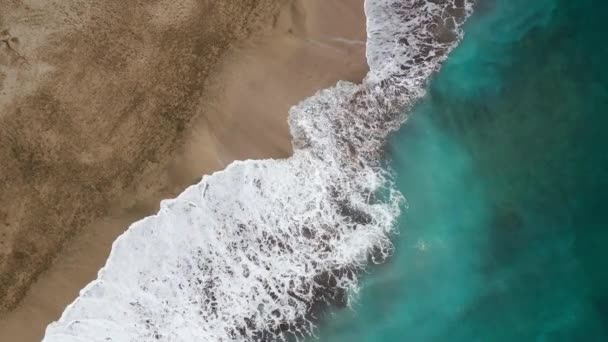 Ovanifrån av öknen stranden på Atlanten. Teneriffas kust. Flygdrönarbilder av havsvågor som når stranden — Stockvideo
