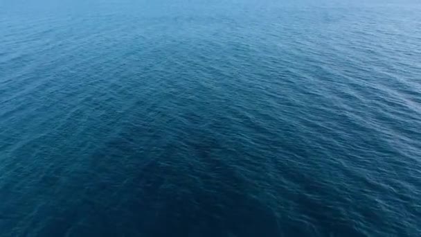 Denizin ya da okyanusun mavi yüzeyinde uçarak — Stok video