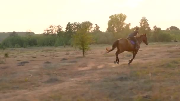 Mujer montando a caballo a galope al atardecer — Vídeo de stock
