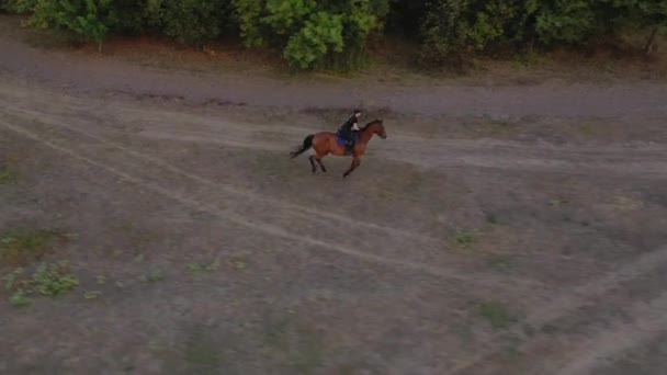 Vista da altura da mulher montando um cavalo marrom por galope ao ar livre — Vídeo de Stock