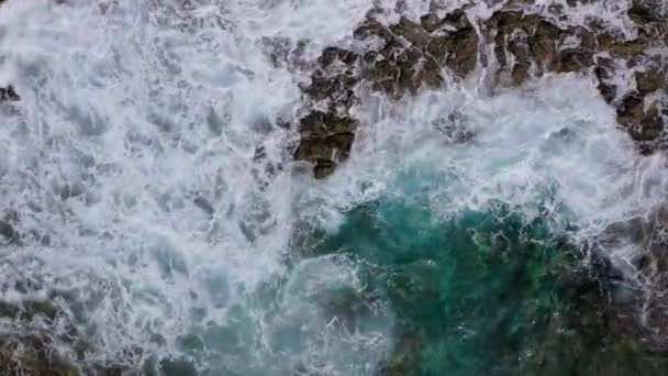 さびれた海岸のトップビュー。テネリフェ島のロッキー海岸。海岸に到達する海の波の空中ドローン映像 — ストック動画