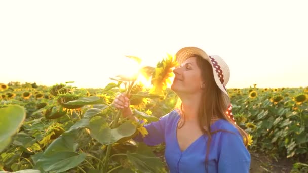 Η γυναίκα με το μπλε φόρεμα και το καπέλο μυρίζει και εξετάζει ένα ηλιοτρόπιο στο χωράφι. Γεωργία. Συγκομιδή — Αρχείο Βίντεο