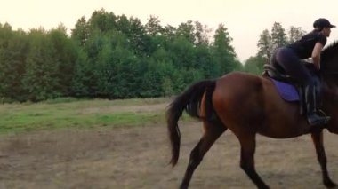 Dörtnala ata binen kadın