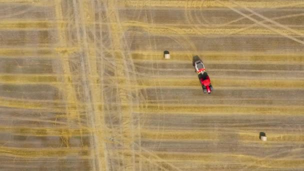 Letecký pohled na haytavu zpracovaný na kulaté baleny. Červený traktor pracuje v terénu — Stock video