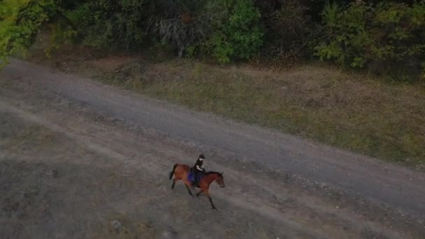 Vista dall'alto della donna che cavalca un cavallo marrone trottando all'aperto — Video Stock