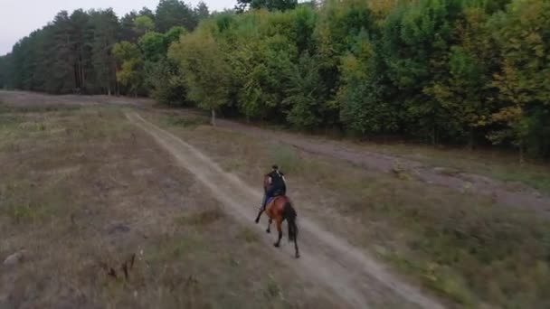 Vista desde la altura de la mujer montando un caballo marrón por galope al aire libre — Vídeos de Stock