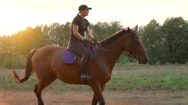 Frau reitet Pferd im Galopp — Stockvideo