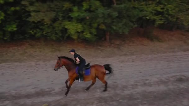Vista desde la altura de la mujer montando un caballo marrón por galope al aire libre — Vídeo de stock
