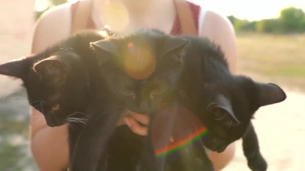 La mujer sostiene tres gatitos negros en sus brazos. Concepto de cuidado de animales y búsqueda en el hogar — Vídeos de Stock
