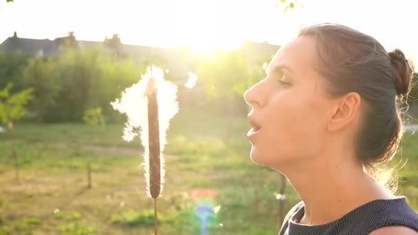 Portret van een mooie vrouw blaast op riet buiten op zonnige dag. pluis van riet vliegt rond — Stockvideo