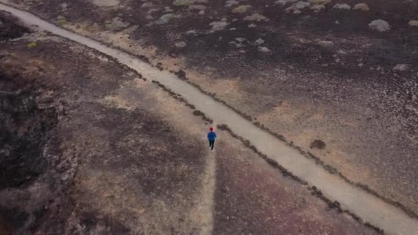 Vista aérea de la mujer corriendo a lo largo de la reserva natural. Vida activa saludable — Vídeos de Stock