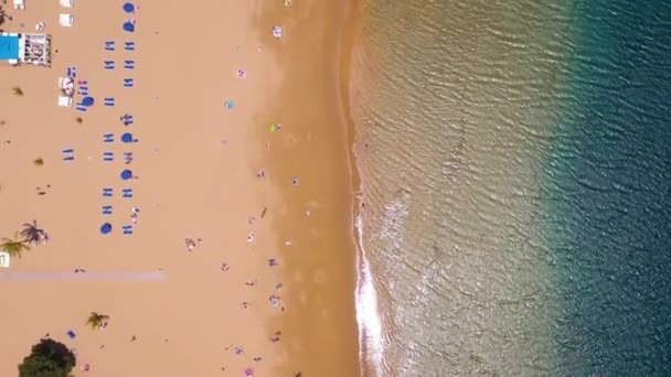 Vista desde la altura de la arena dorada, palmeras, tumbonas, irreconocibles personas en la playa Las Teresitas, Tenerife, Canarias, España — Vídeo de stock