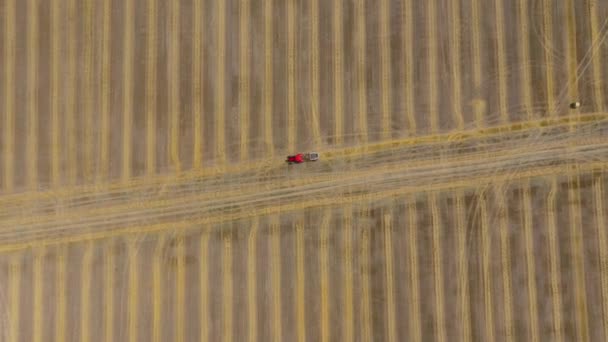 Vista aérea del heno procesado en balas redondas. Tractor rojo trabaja en el campo — Vídeos de Stock