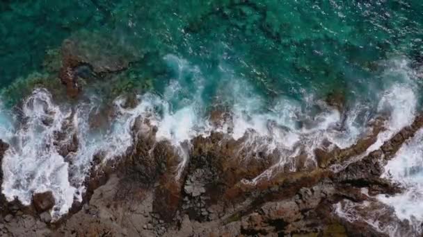 さびれた海岸のトップビュー。テネリフェ島のロッキー海岸。海岸に到達する海の波の空中ドローン映像 — ストック動画