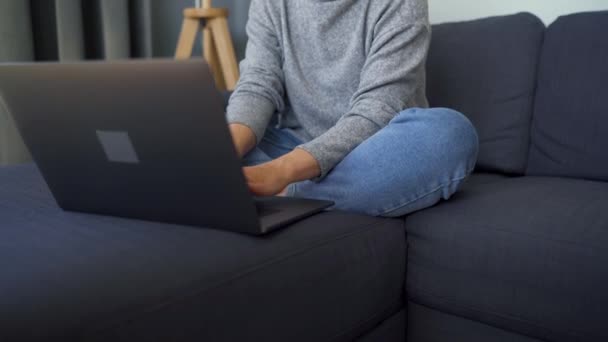 Mujer sentada en un sofá acogedor y trabajando en un ordenador portátil. Concepto de trabajo remoto. — Vídeo de stock