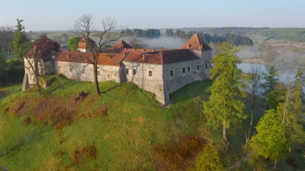 Widok z lotu ptaka na zamek Svirzh koło Lwowa, Ukraina o świcie. Jezioro, poranna mgła i otaczający krajobraz o wschodzie słońca. — Wideo stockowe