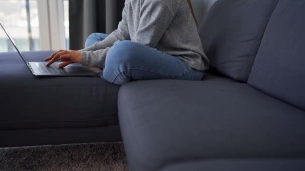 Femme assise sur un canapé confortable et travaillant sur un ordinateur portable. Concept de télétravail. — Video