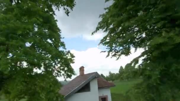 Drone FPV vole rapidement et manœuvrable le long d'un champ verdoyant entouré d'arbres un jour d'été