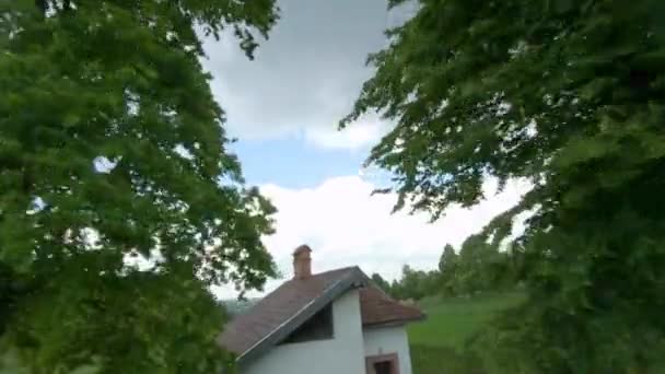 FPV drönare flyger snabbt och manövrerbart längs ett grönt fält omgivet av träd en sommardag — Stockvideo