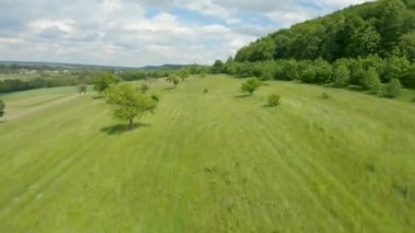 FPV insansız hava aracı bir yaz günü ağaçlarla çevrili yeşil bir çayır boyunca hızla ve manevra kabiliyetiyle uçar.