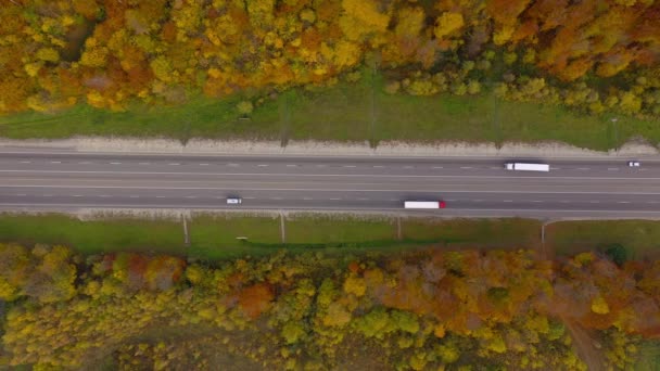 Högst upp bild av trafiken på en motorväg omgiven av ljus höstskog. — Stockvideo