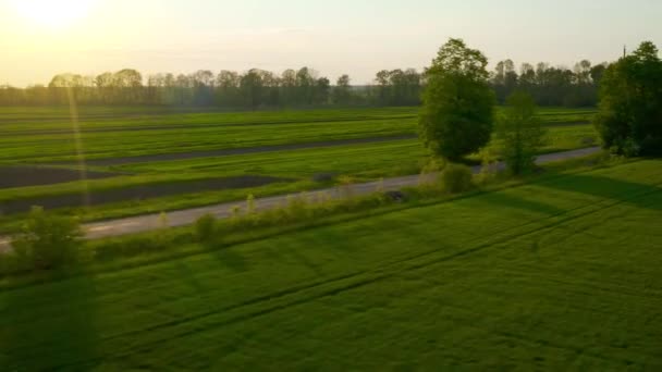日没時に緑の小麦畑の間の地元の道路に沿って飛んでいます。収穫有機栽培 — ストック動画
