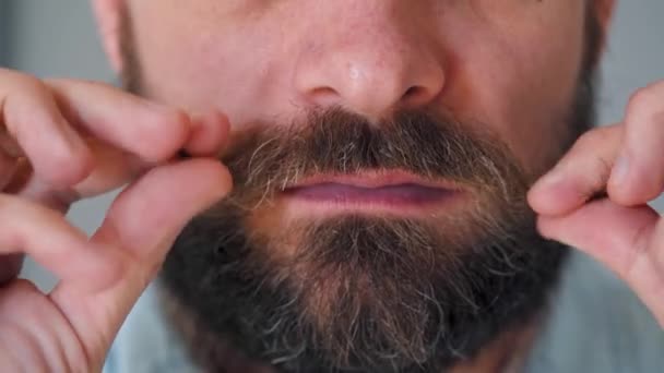 Een deel van het gezicht van een man die zijn snor en gladde weelderige baard verdraait — Stockvideo