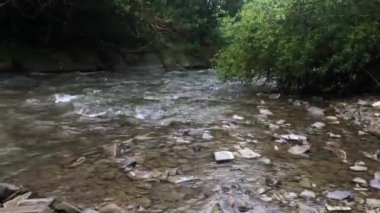 Dağlara yakın nehir, nehre eğilmiş ağaç dalları.